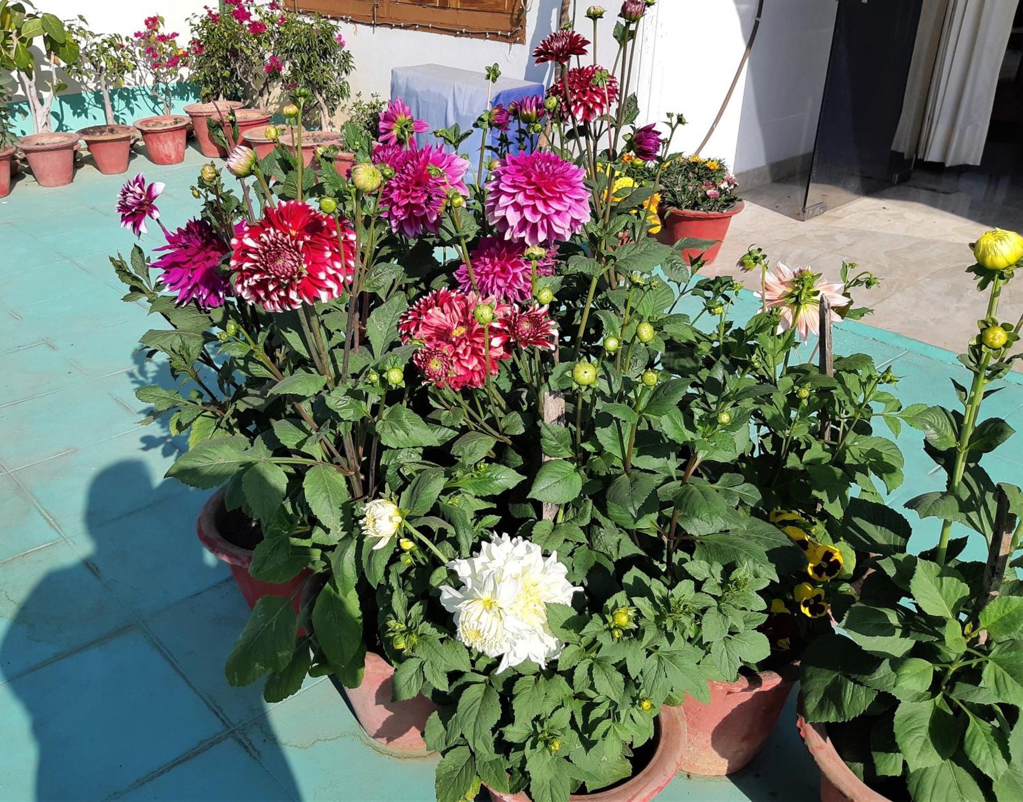 Fully Furnished Ish, Atithya Homestay With Various Amenities And Free Services In Lucknow, India ภายนอก รูปภาพ