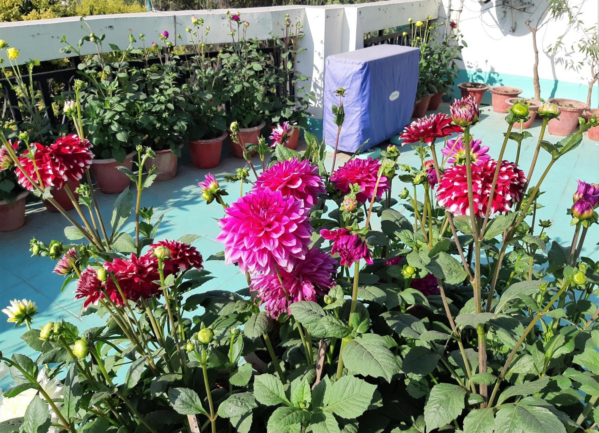 Fully Furnished Ish, Atithya Homestay With Various Amenities And Free Services In Lucknow, India ภายนอก รูปภาพ