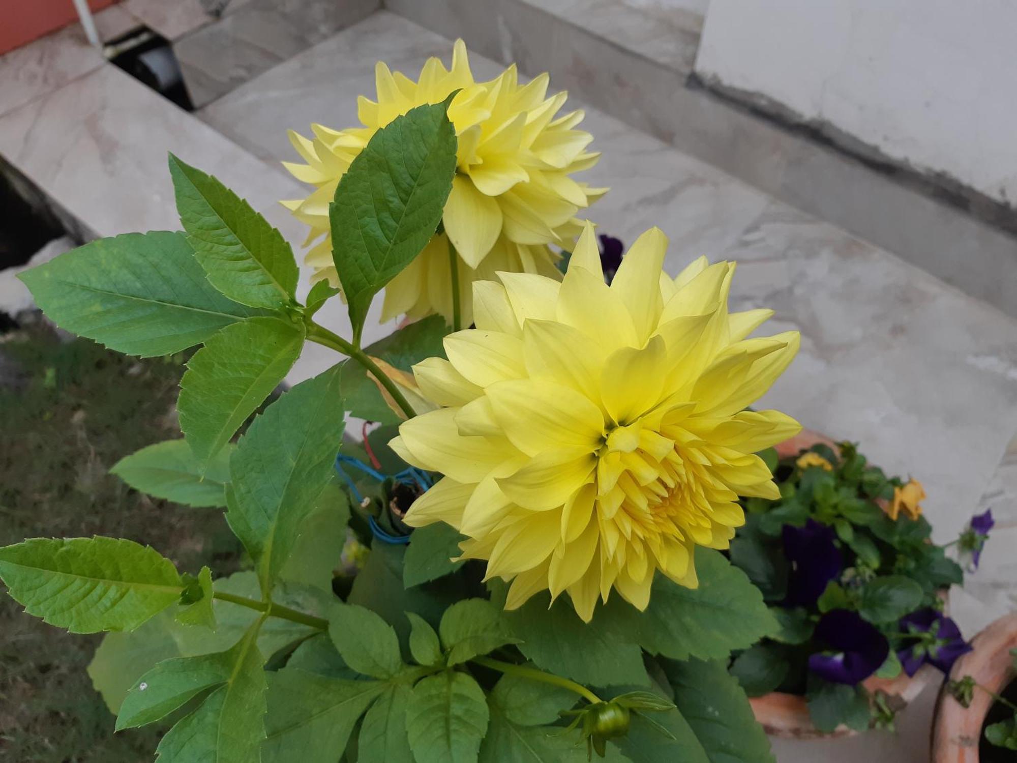 Fully Furnished Ish, Atithya Homestay With Various Amenities And Free Services In Lucknow, India ภายนอก รูปภาพ